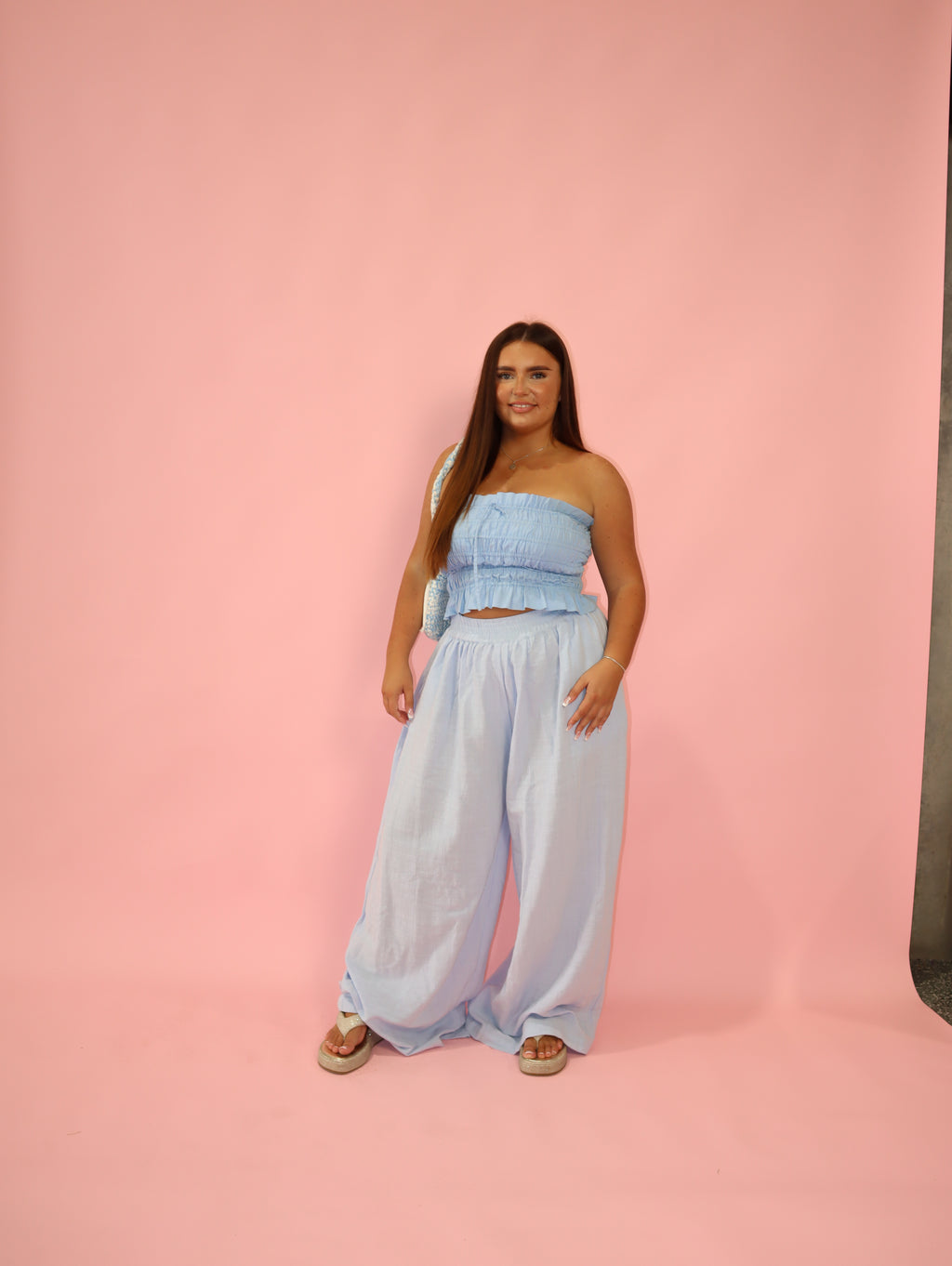 Stevie Palazzo Pants | Powder Blue